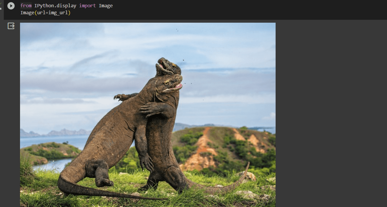 screenshot of image